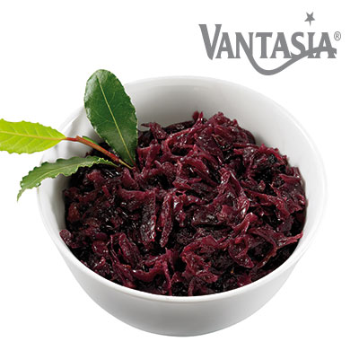Beilagen VANTASIA