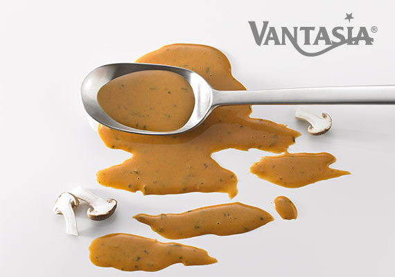 [Translate to Netherlands:] Soßen VANTASIA